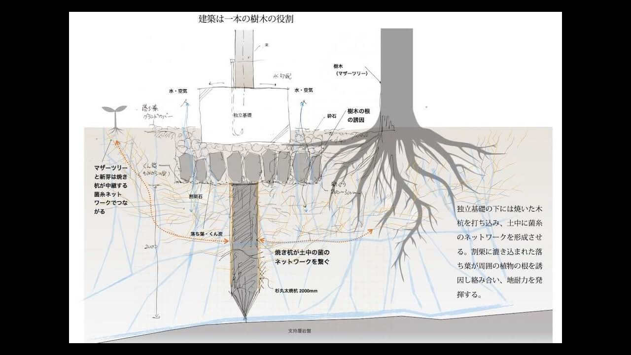 Sumu Yakushima Regenerative Life Studio03